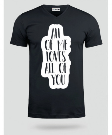 SAN VALENTINO_22 T-shirt Scollo V