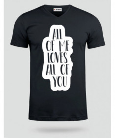 SAN VALENTINO_22 T-shirt Scollo V