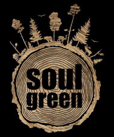 Soul green T-shirt Basic Uomo