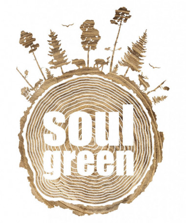 Soul green T-shirt Basic Donna