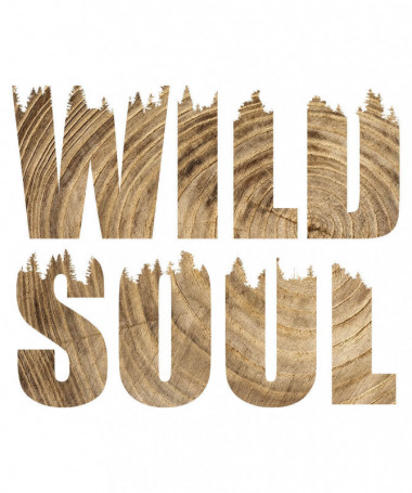 Wild soul  T-shirt Scollo V