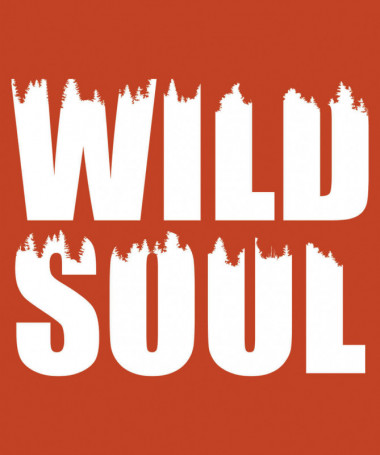 Wild soul  T-shirt Scollo V