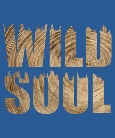 Wild soul  T-shirt Scollo V