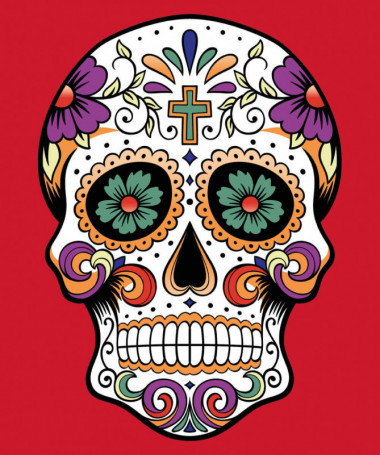 Skull Felpa Premium con cappuccio Donna